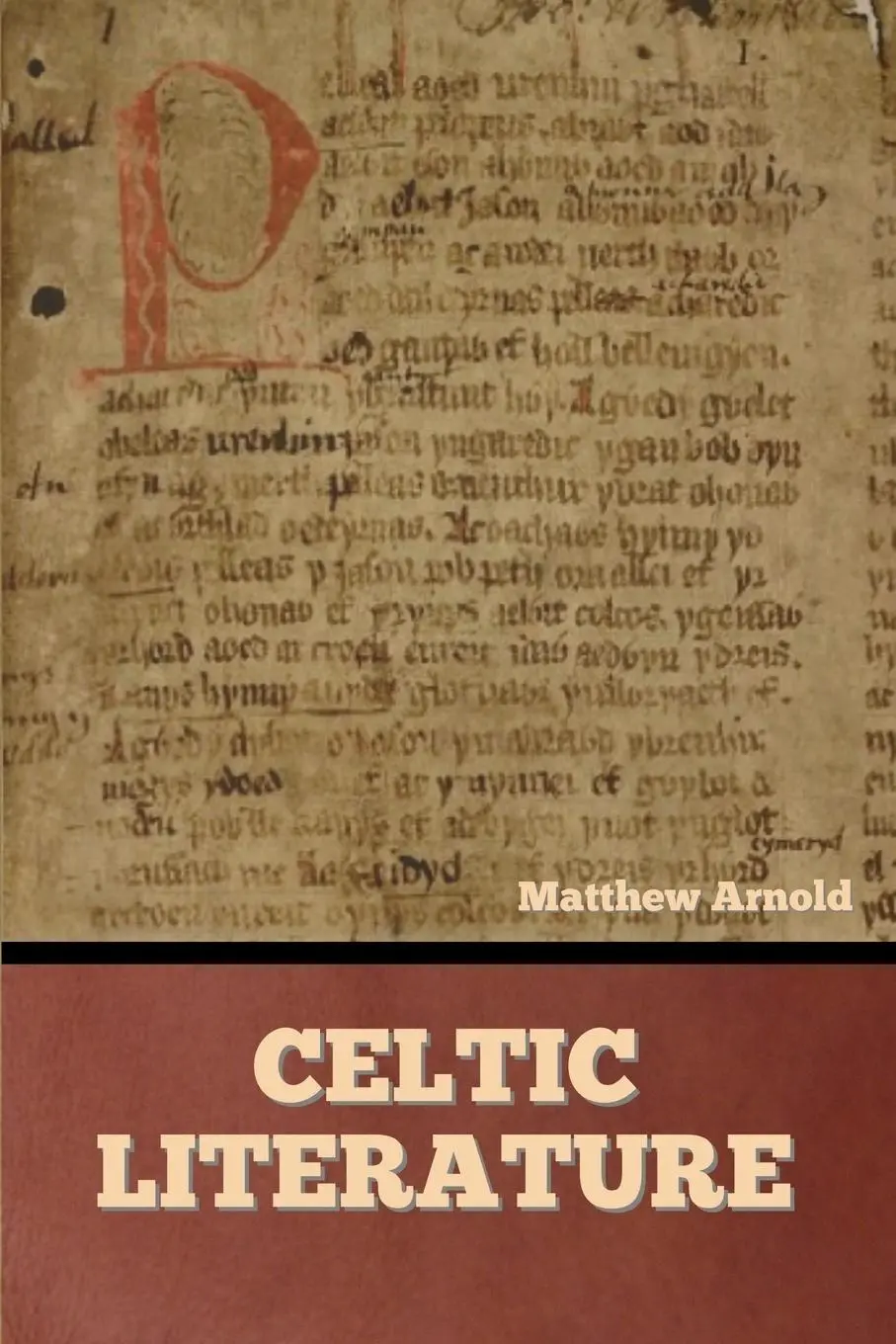 Cover: 9798888302514 | Celtic Literature | Matthew Arnold | Taschenbuch | Englisch | 2023