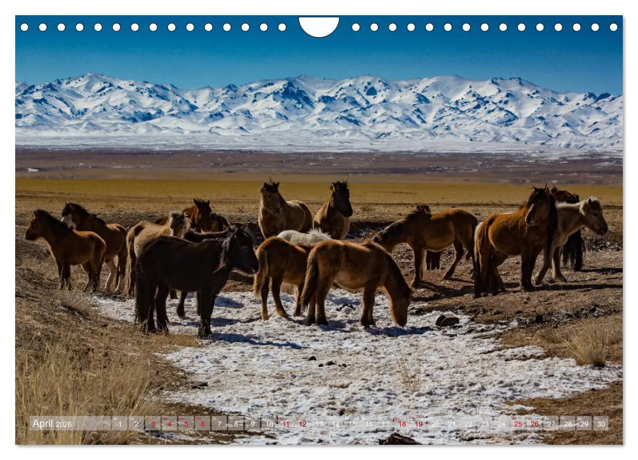Bild: 9783457842614 | Mongolei - imposantes Land (Wandkalender 2026 DIN A4 quer),...