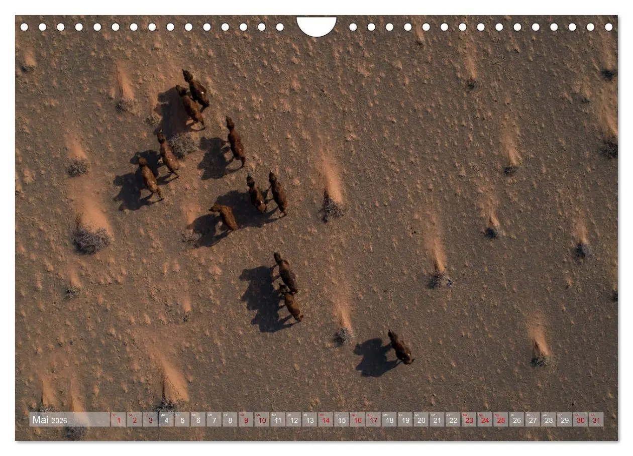 Bild: 9783457842614 | Mongolei - imposantes Land (Wandkalender 2026 DIN A4 quer),...