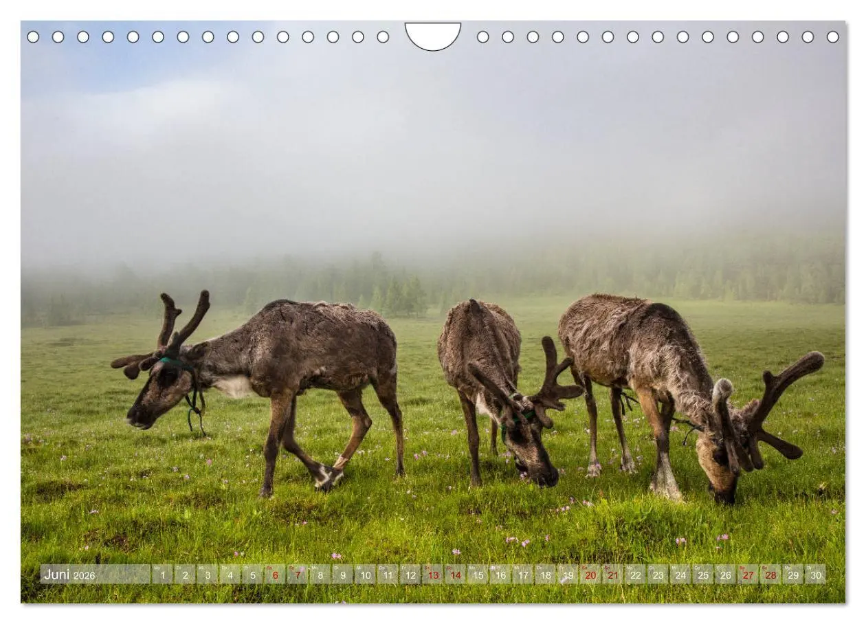 Bild: 9783457842614 | Mongolei - imposantes Land (Wandkalender 2026 DIN A4 quer),...