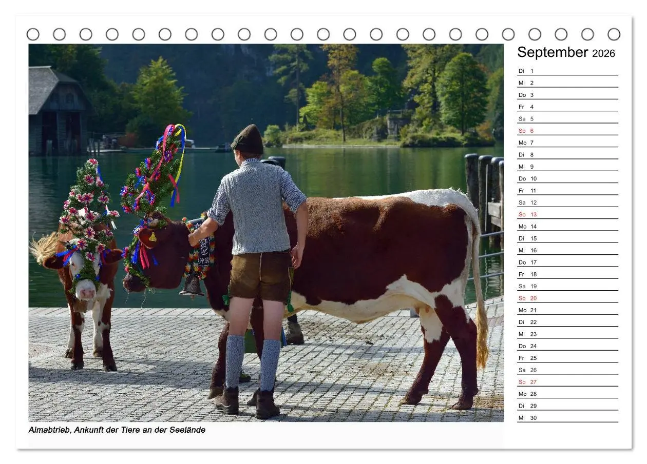 Bild: 9783516002614 | Willkommen am Königssee (Tischkalender 2026 DIN A5 quer), CALVENDO...