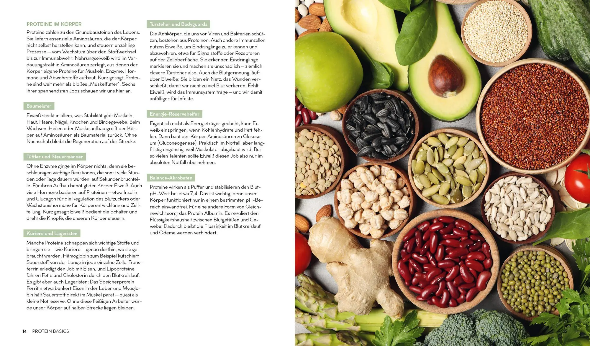 Bild: 9783745932614 | Protein Power Bowls | Martin Kintrup | Taschenbuch | 160 S. | Deutsch