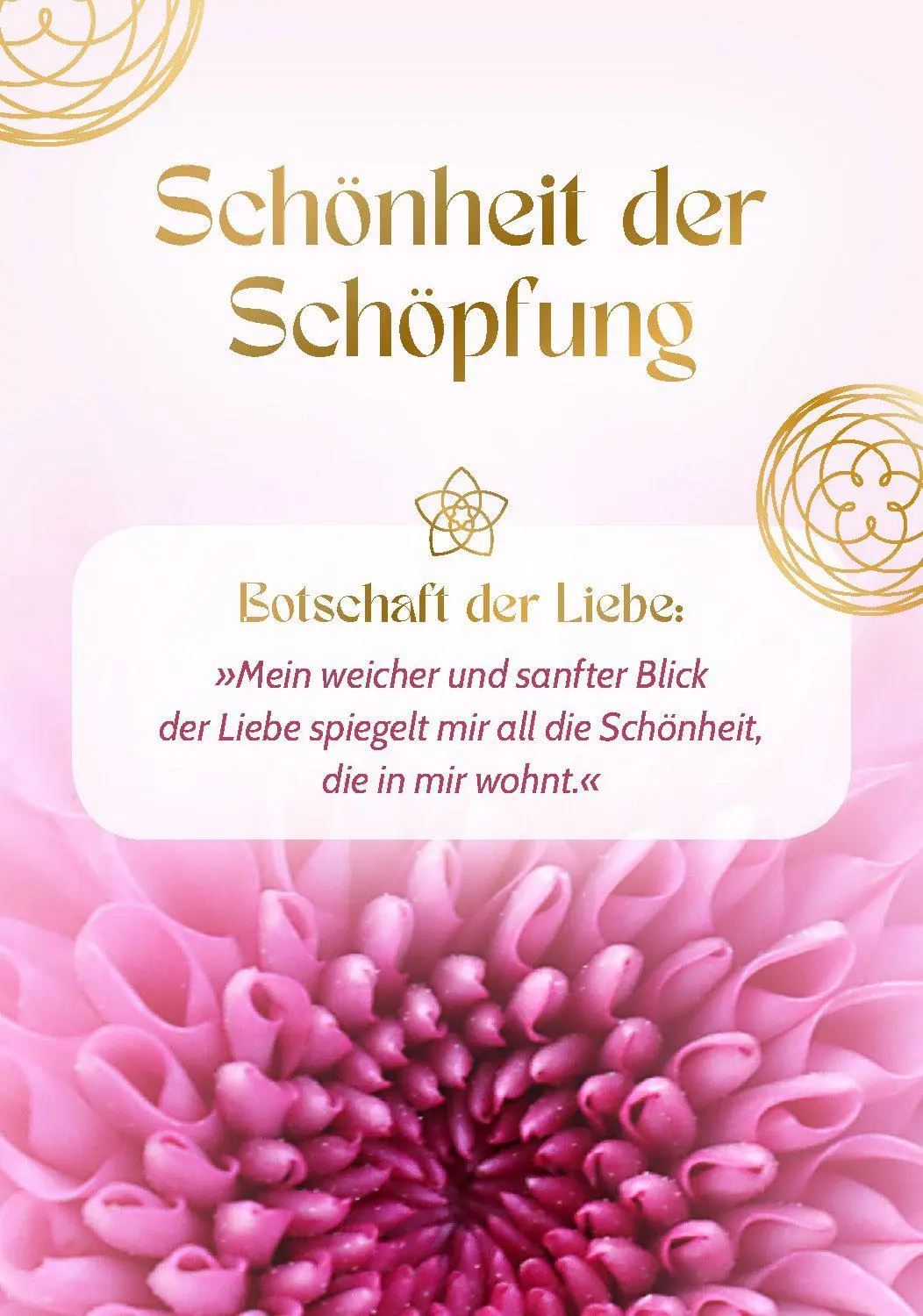 Bild: 9783843492614 | Blume der Liebe - 40 inspirierende Impulse für gelebte Liebe | Grübel