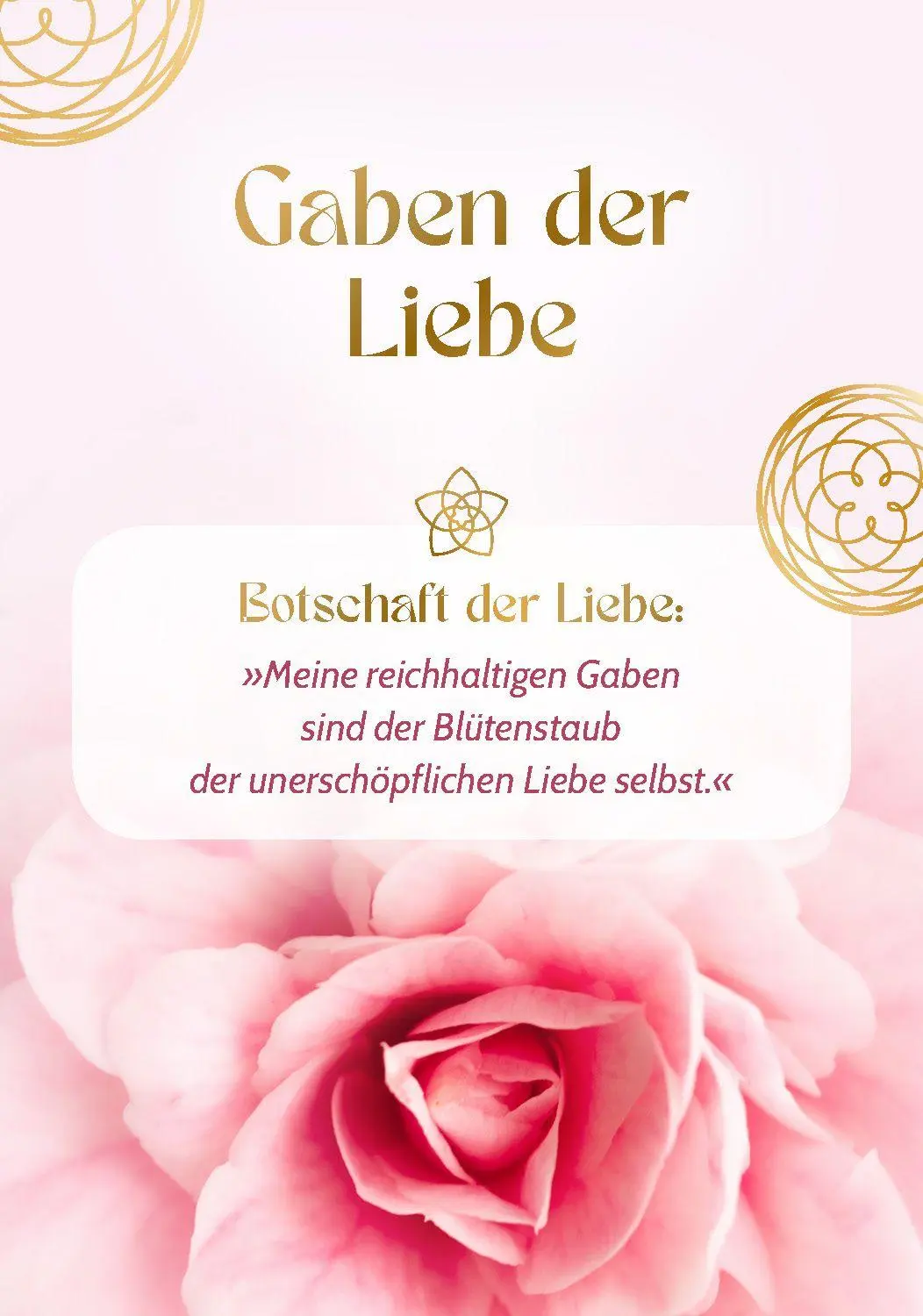 Bild: 9783843492614 | Blume der Liebe - 40 inspirierende Impulse für gelebte Liebe | Grübel