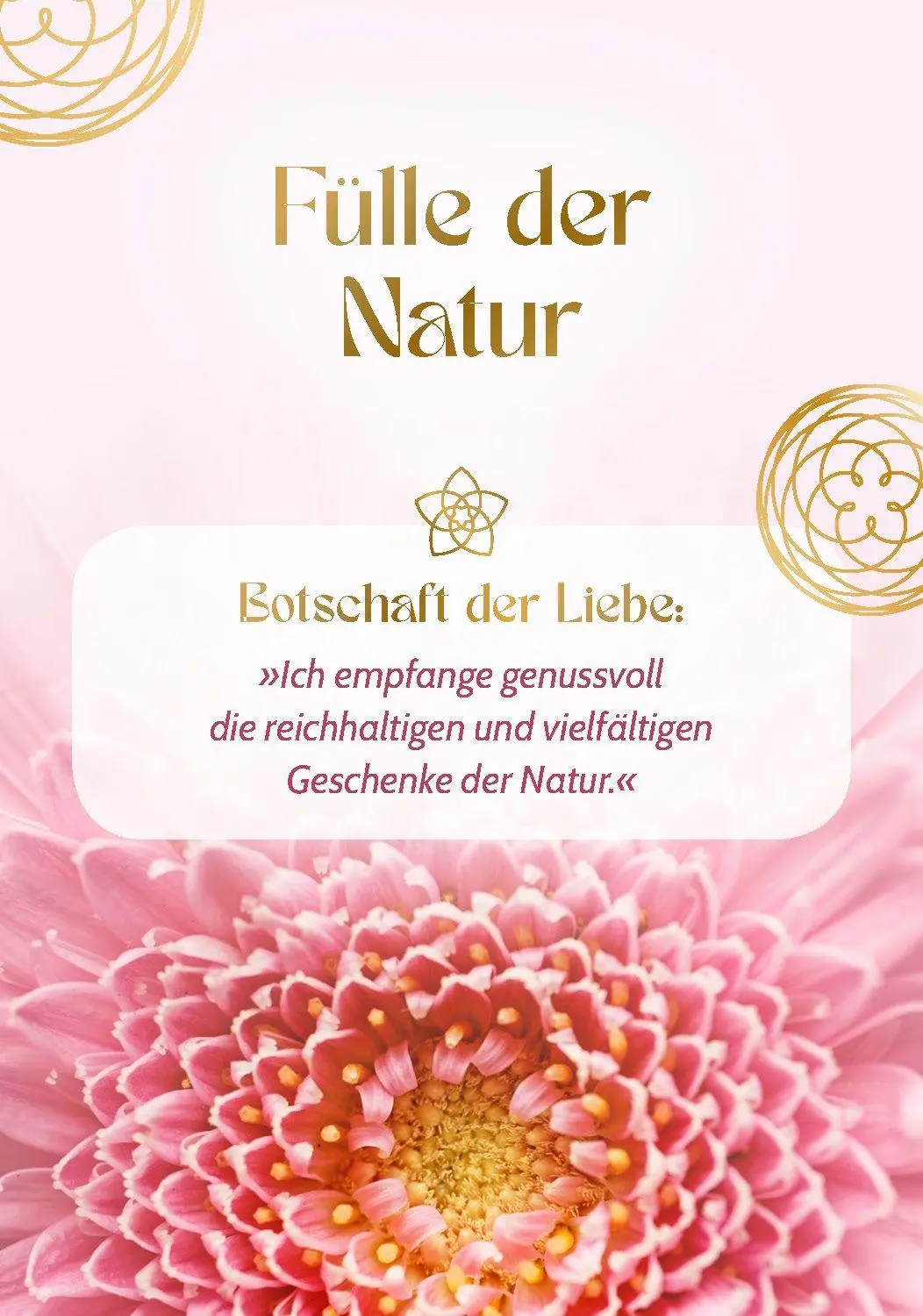 Bild: 9783843492614 | Blume der Liebe - 40 inspirierende Impulse für gelebte Liebe | Grübel