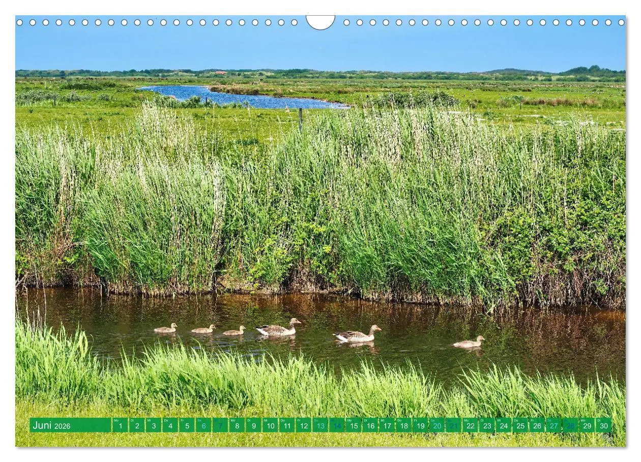 Bild: 9783457382714 | Borkum Ansichten (Wandkalender 2026 DIN A3 quer), CALVENDO...
