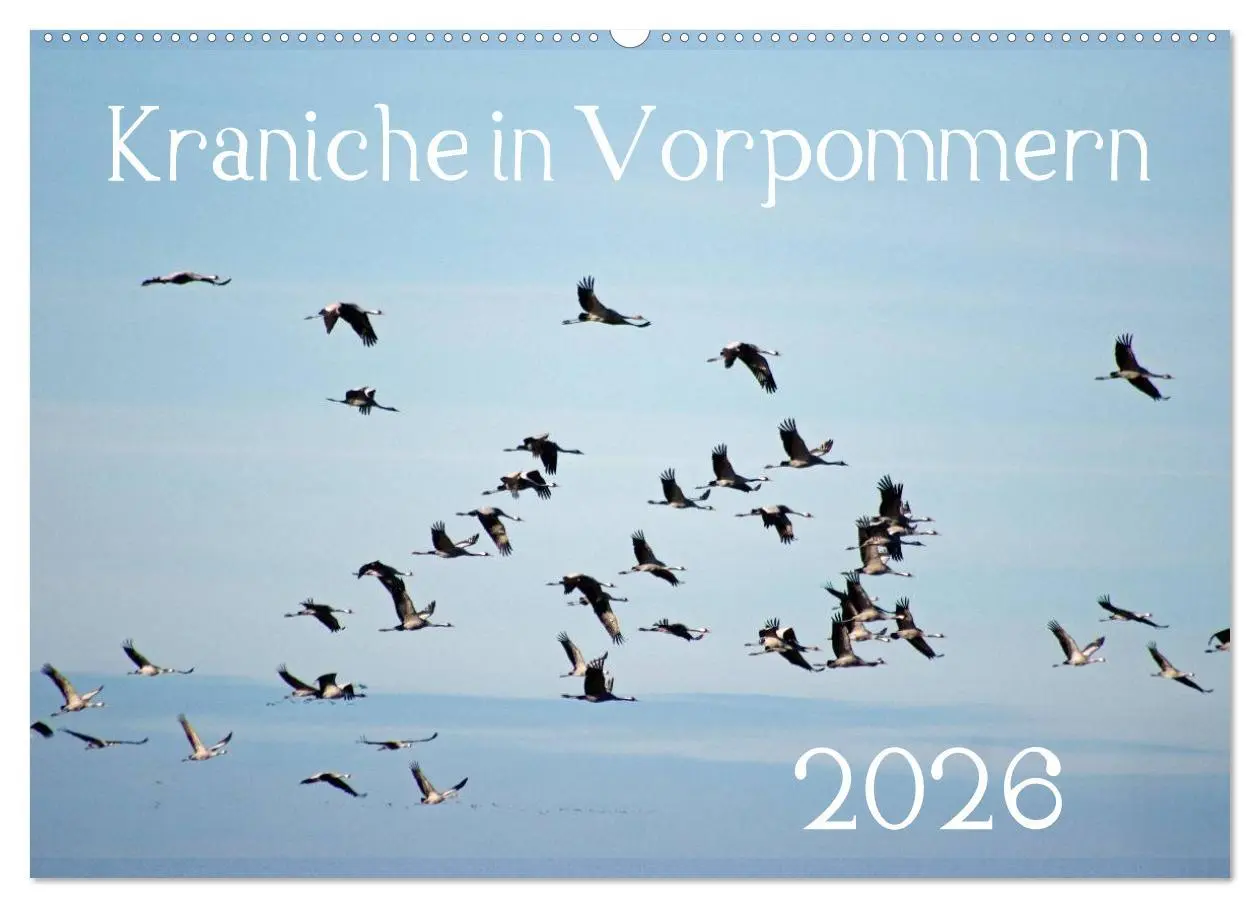 Cover: 9783516092714 | Kraniche in Vorpommern (Wandkalender 2026 DIN A2 quer), CALVENDO...