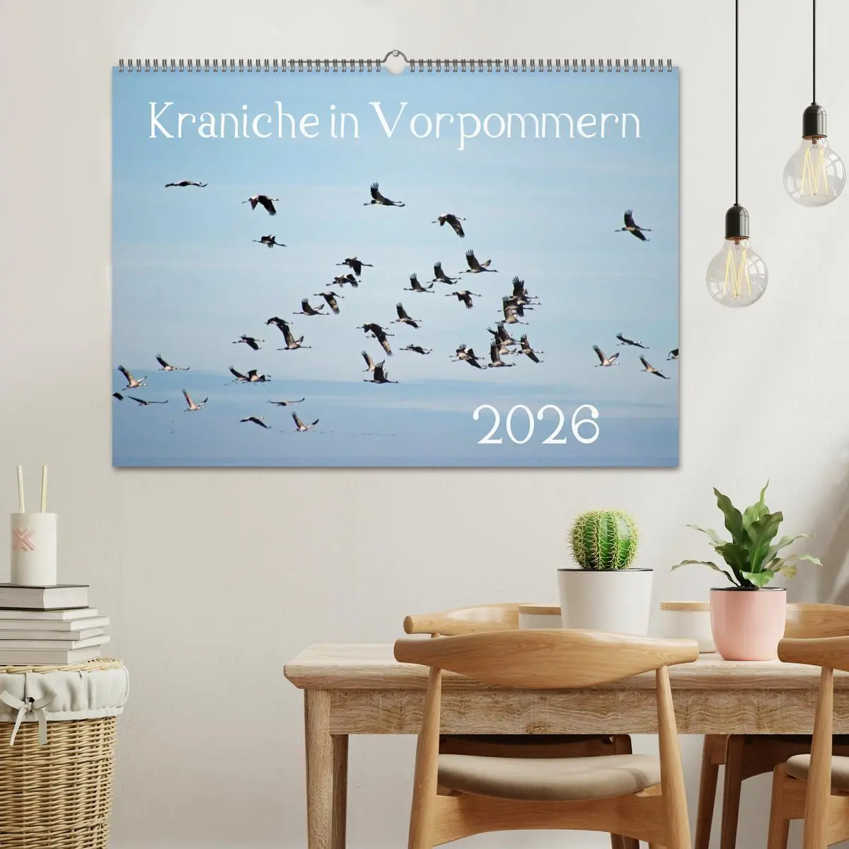 Bild: 9783516092714 | Kraniche in Vorpommern (Wandkalender 2026 DIN A2 quer), CALVENDO...