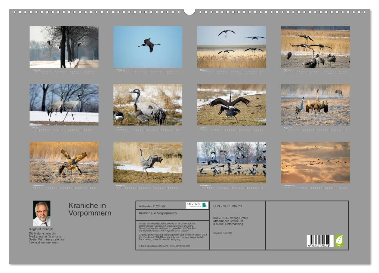 Bild: 9783516092714 | Kraniche in Vorpommern (Wandkalender 2026 DIN A2 quer), CALVENDO...