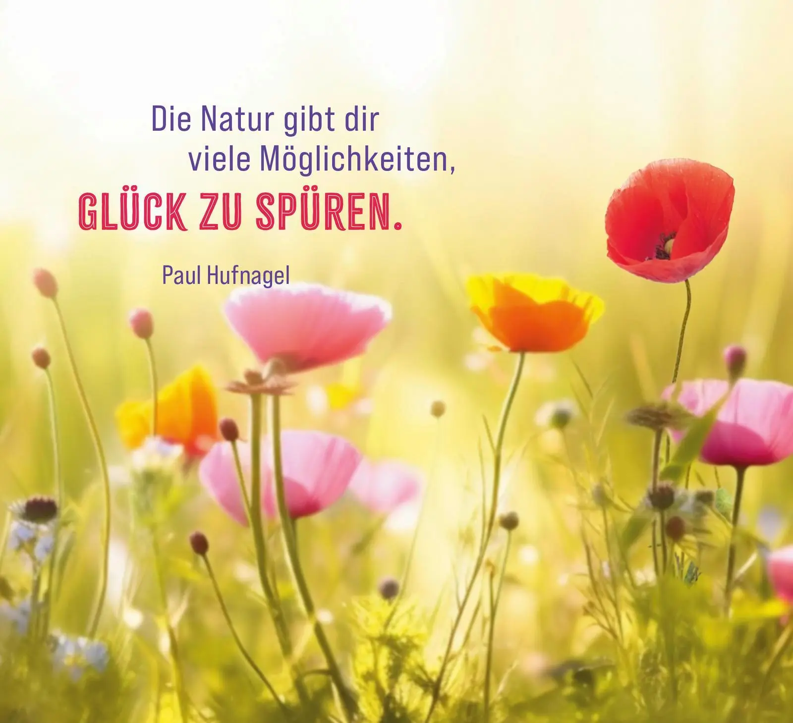 Bild: 9783848502714 | Lebensfreude für jeden Tag | Groh Verlag | Taschenbuch | 144 S. | 2024