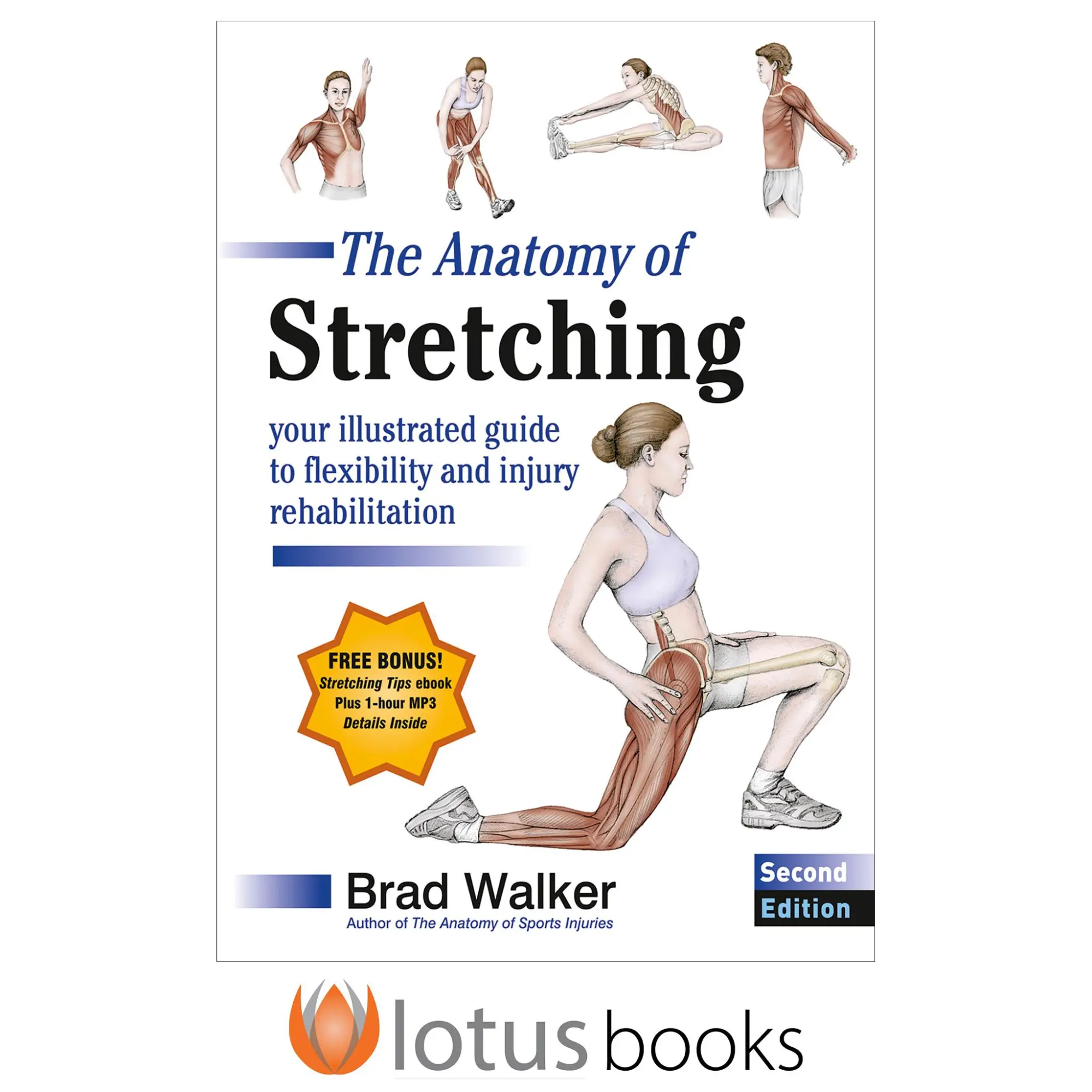 Cover: 9781718242814 | The Anatomy of Stretching | Brad Walker | Taschenbuch | Englisch