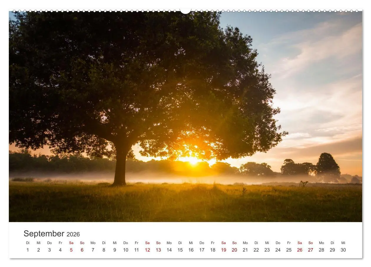 Bild: 9783457442814 | Sonnenaufgänge - Für einen guten Start in den Tag. (hochwertiger...
