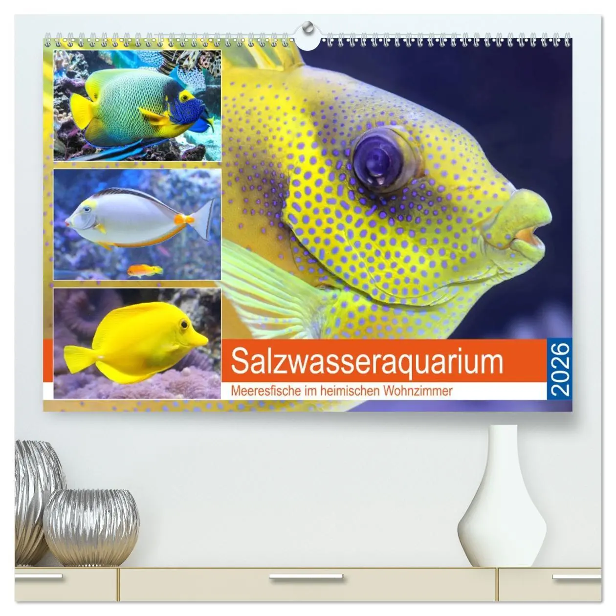 Cover: 9783457682814 | Salzwasseraquarium. Meeresfische im heimischen Wohnzimmer...