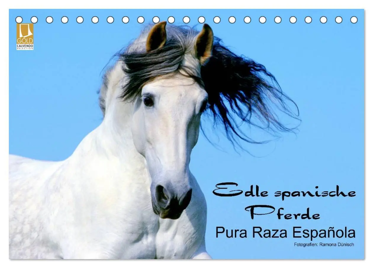 Cover: 9783516152814 | Edle spanische Pferde - Pura Raza Espanola (Tischkalender 2026 DIN...
