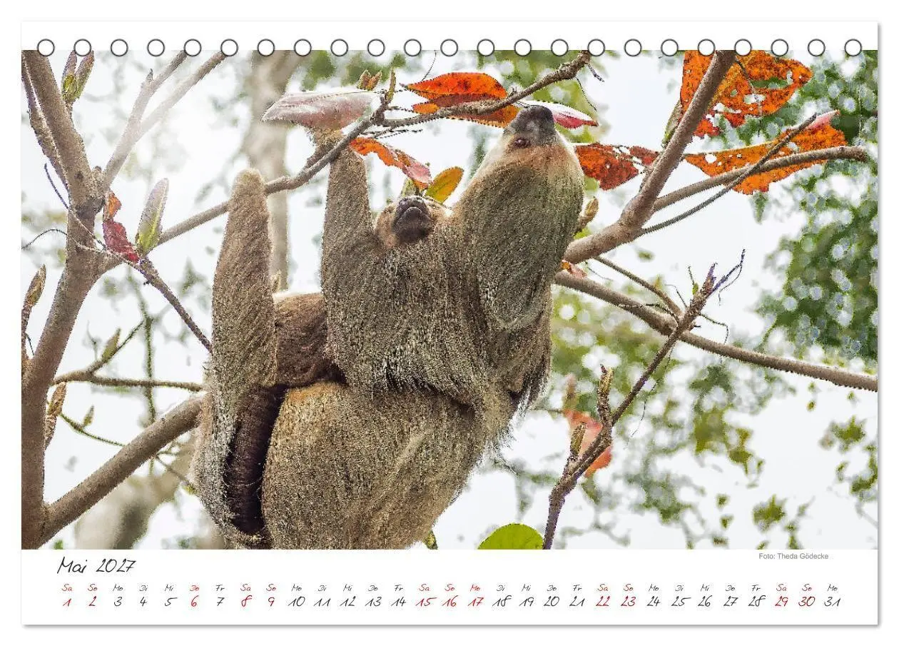Bild: 9783569792814 | Natur pur, Costa Rica (Tischkalender 2027 DIN A5 quer), CALVENDO...