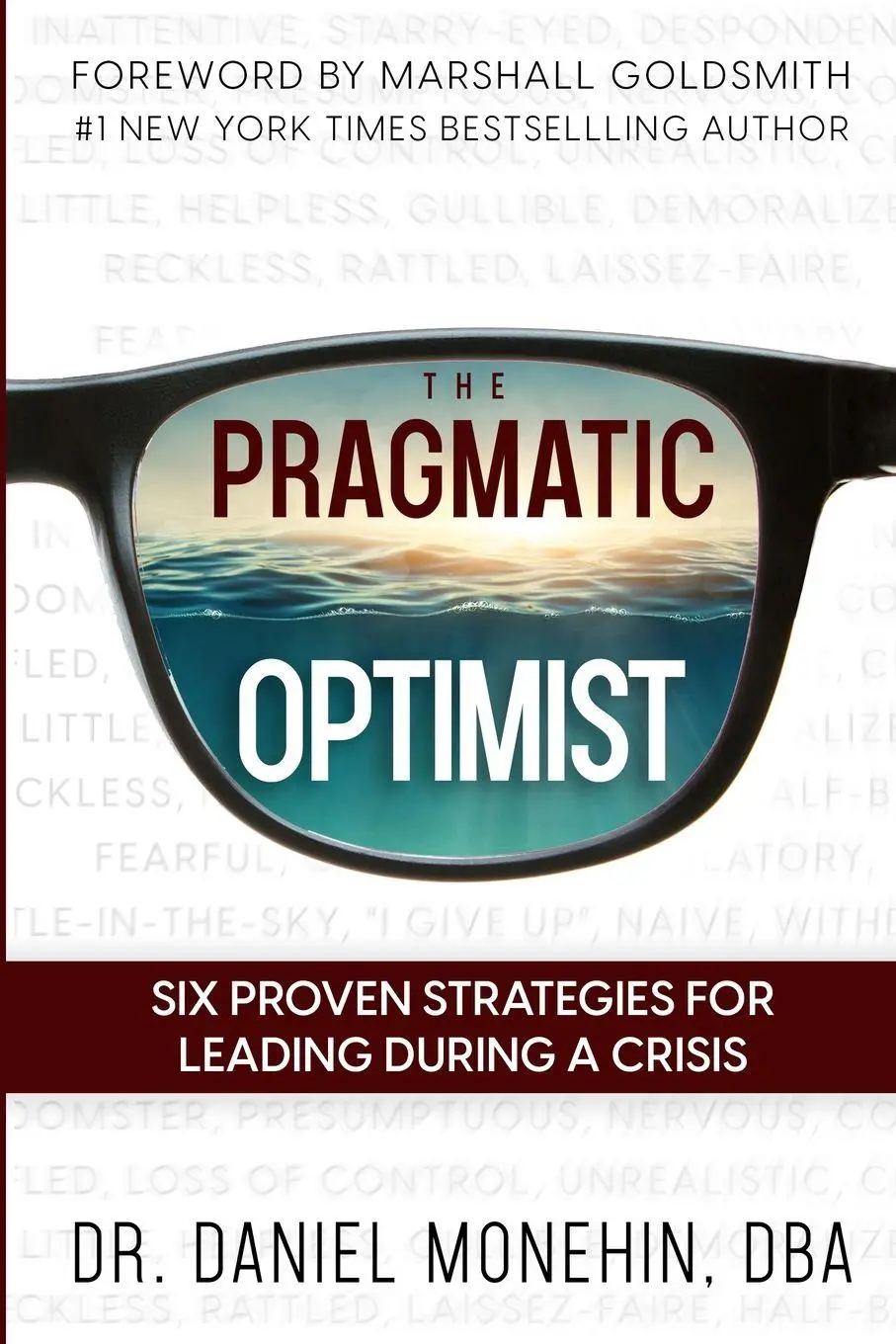 Cover: 9781738652914 | The Pragmatic Optimist | Daniel Monehin | Taschenbuch | Englisch