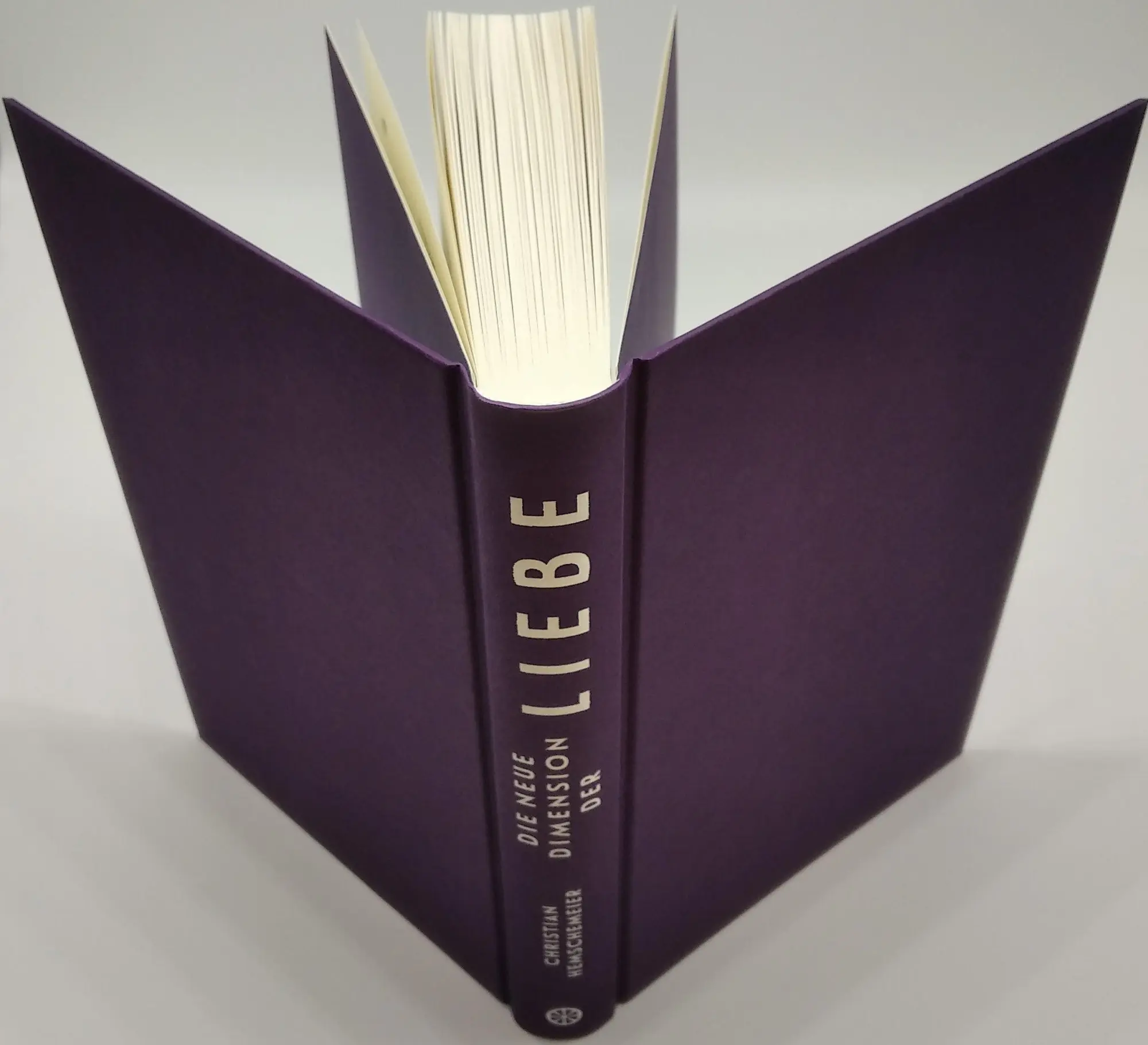Bild: 9783442342914 | Die neue Dimension der Liebe | Christian Hemschemeier | Buch | 288 S.