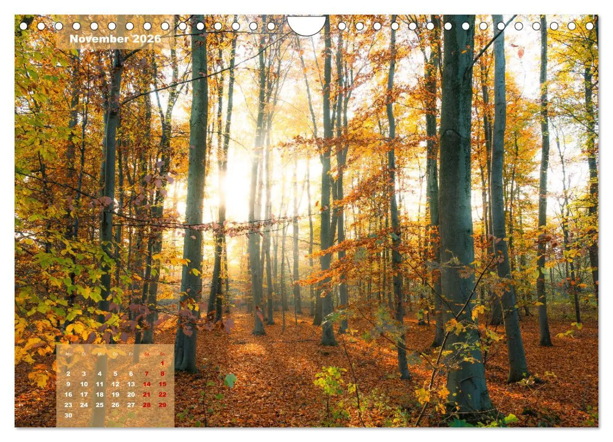 Bild: 9783457362914 | Ein Jahr Niederrhein Momente der Natur (Wandkalender 2026 DIN A4...