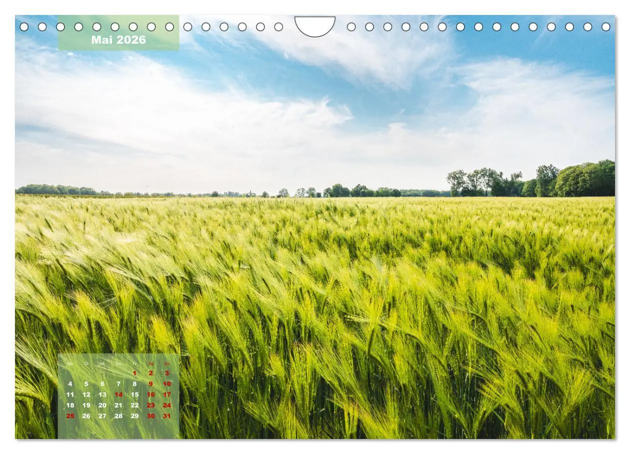 Bild: 9783457362914 | Ein Jahr Niederrhein Momente der Natur (Wandkalender 2026 DIN A4...