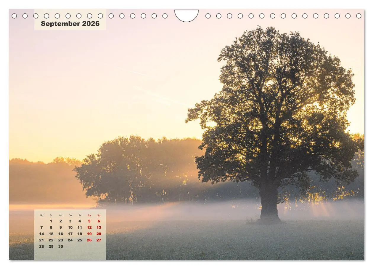 Bild: 9783457362914 | Ein Jahr Niederrhein Momente der Natur (Wandkalender 2026 DIN A4...