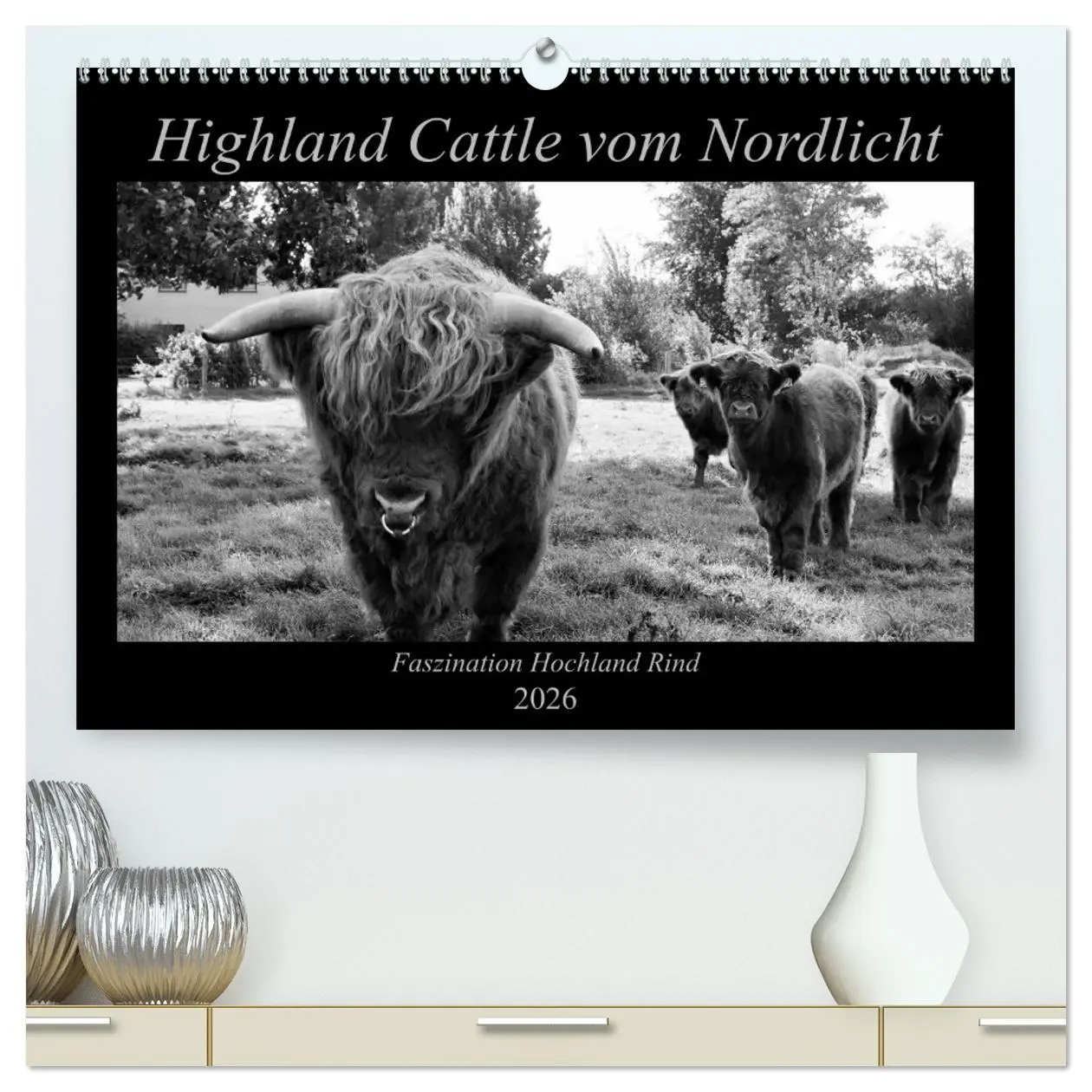 Cover: 9783457742914 | Highland Cattle vom Nordlicht - Faszination Hochland Rind...