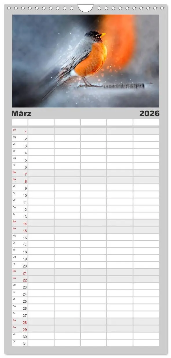 Bild: 9783516522914 | Familienplaner 2026 - Bei uns im Garten - Rotkehlchen mit 5 Spalten...