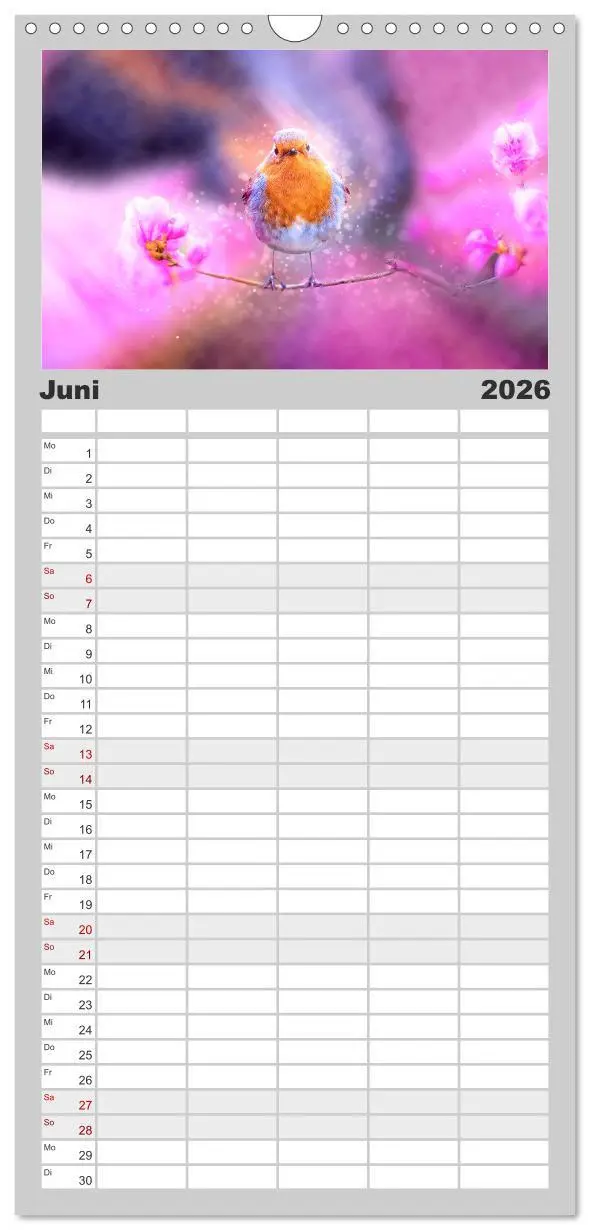 Bild: 9783516522914 | Familienplaner 2026 - Bei uns im Garten - Rotkehlchen mit 5 Spalten...