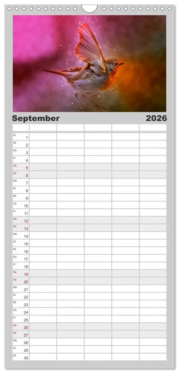 Bild: 9783516522914 | Familienplaner 2026 - Bei uns im Garten - Rotkehlchen mit 5 Spalten...