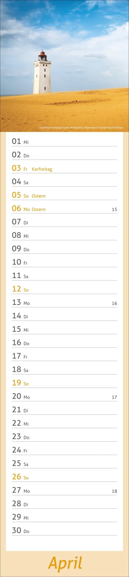 Bild: 9783756412914 | times&amp;more Leuchttürme Langplaner 2026 | Heye | Kalender | 13 S.