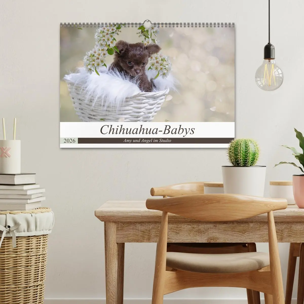 Bild: 9783457933114 | Chihuahua-Babys - Amy und Angel im Studio (Wandkalender 2026 DIN A3...