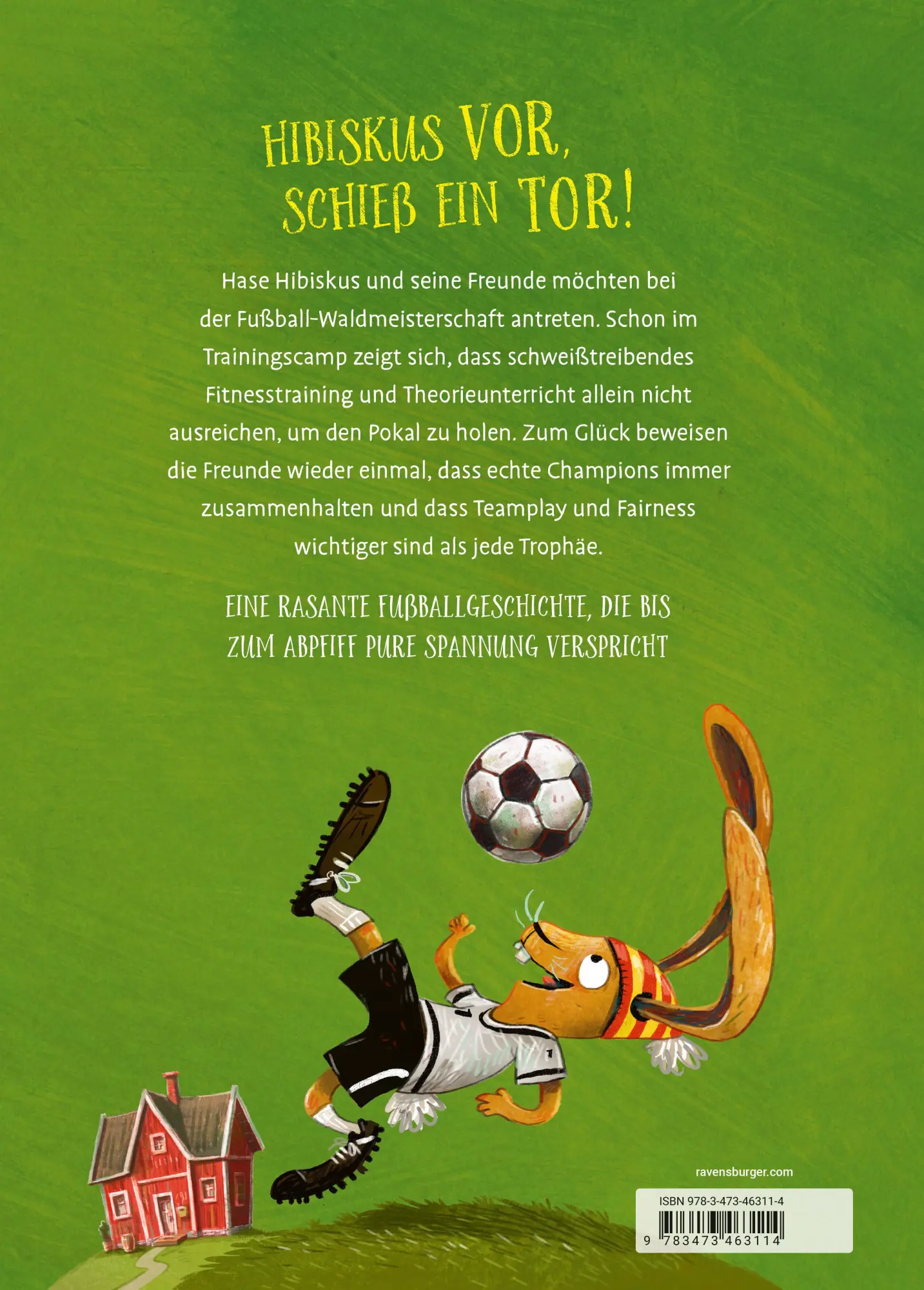 Rückseite: 9783473463114 | Hase Hibiskus und die Fußball-Waldmeisterschaft | Andreas König | Buch