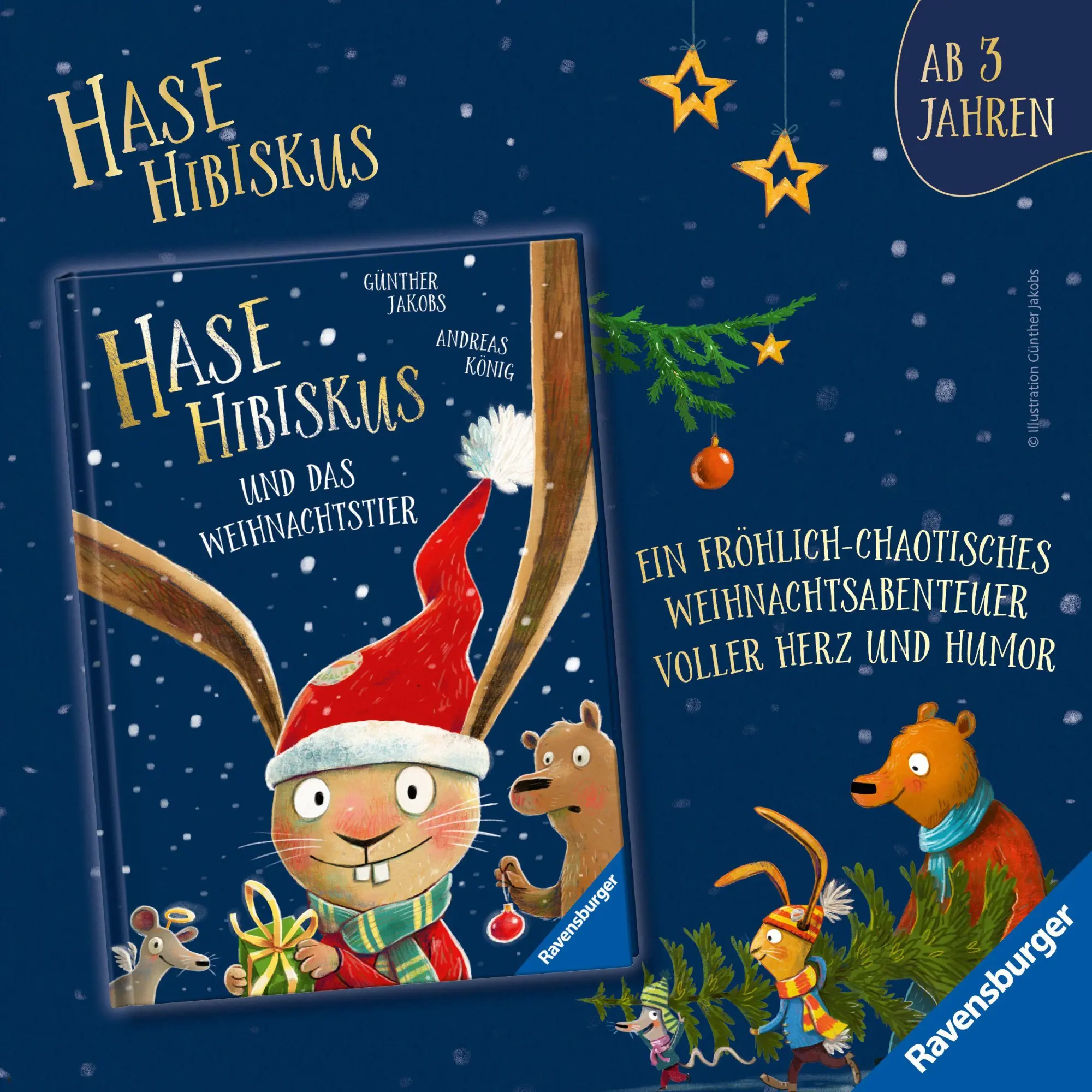 Bild: 9783473463114 | Hase Hibiskus und die Fußball-Waldmeisterschaft | Andreas König | Buch