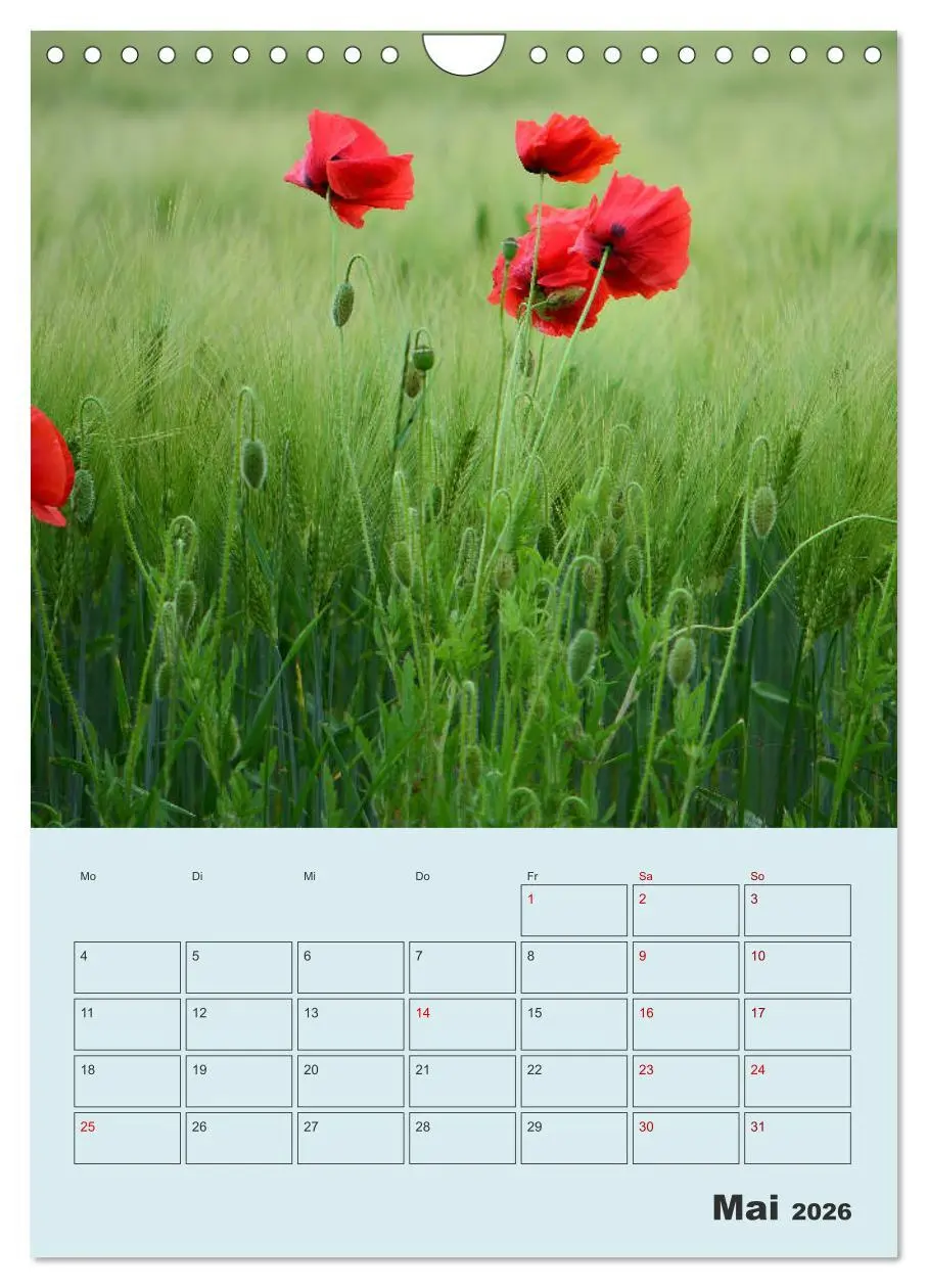 Bild: 9783516403114 | Moin Heiligenhafen (Wandkalender 2026 DIN A4 hoch), CALVENDO...