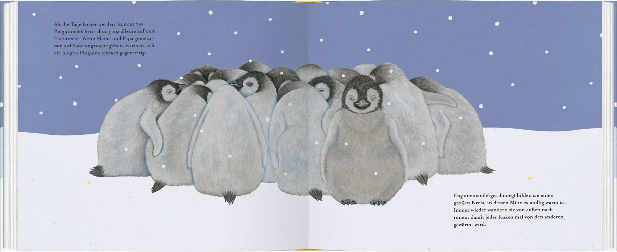 Bild: 9783836963114 | Kleiner Pinguin, bald bist du groß! | Isabel Müller | Buch | 40 S.