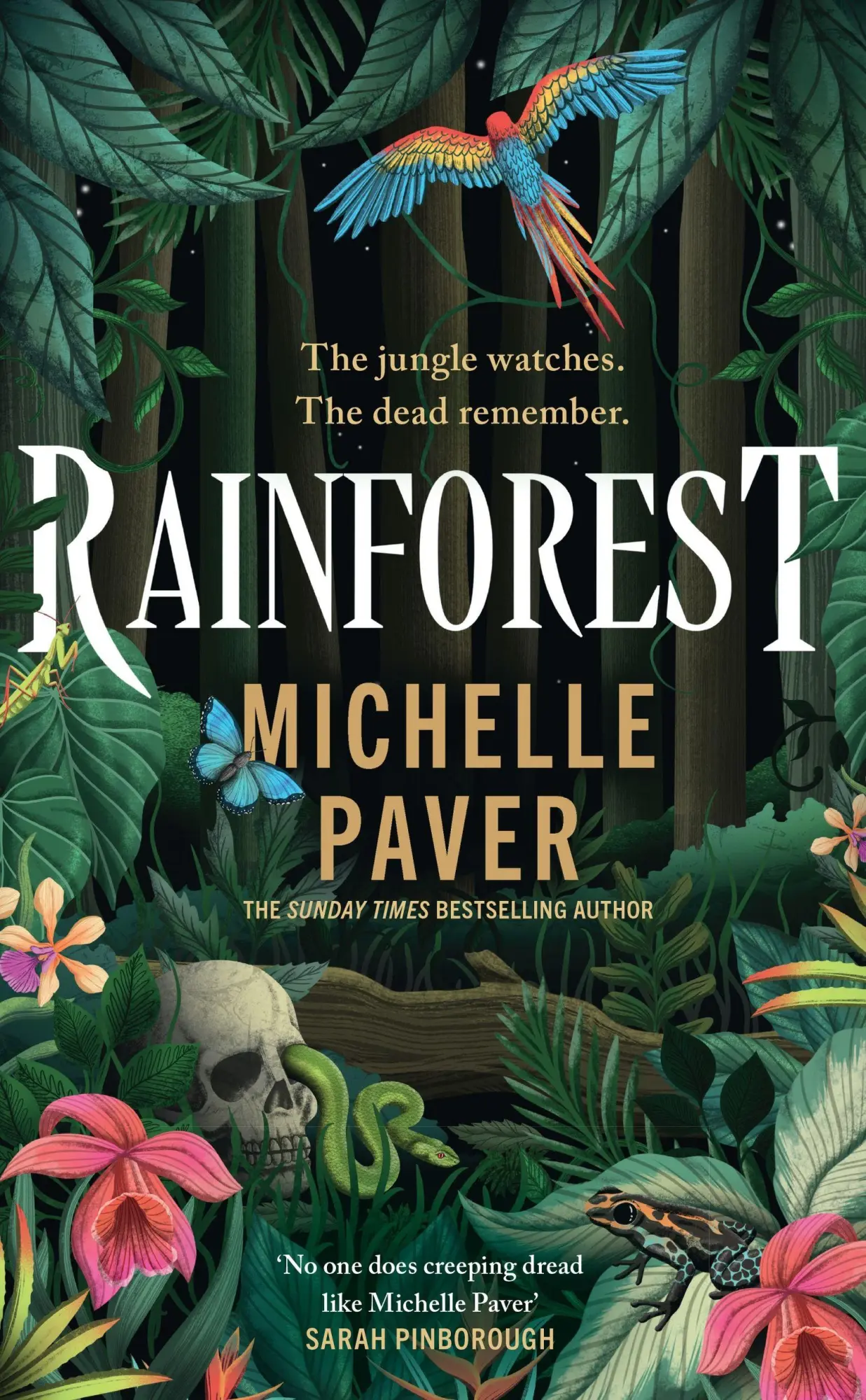Cover: 9781398723214 | Rainforest | Michelle Paver | Taschenbuch | Paperback | Englisch