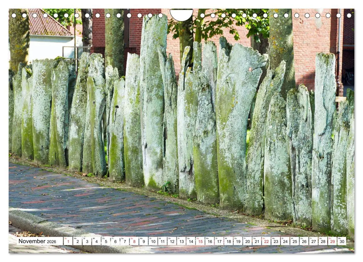 Bild: 9783457303214 | Verliebt in Borkum (Wandkalender 2026 DIN A4 quer), CALVENDO...