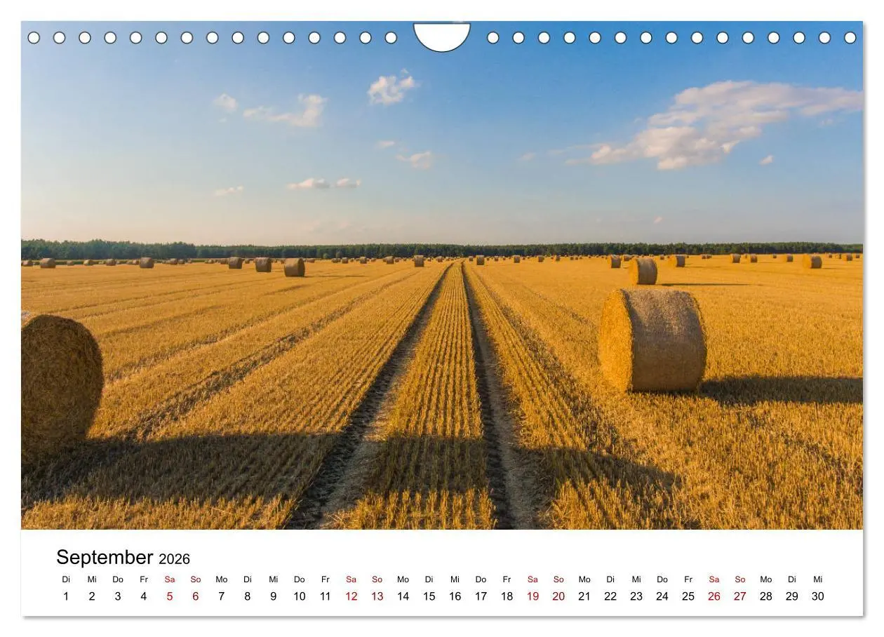 Bild: 9783457923214 | Altmarkliebe (Wandkalender 2026 DIN A4 quer), CALVENDO Monatskalender