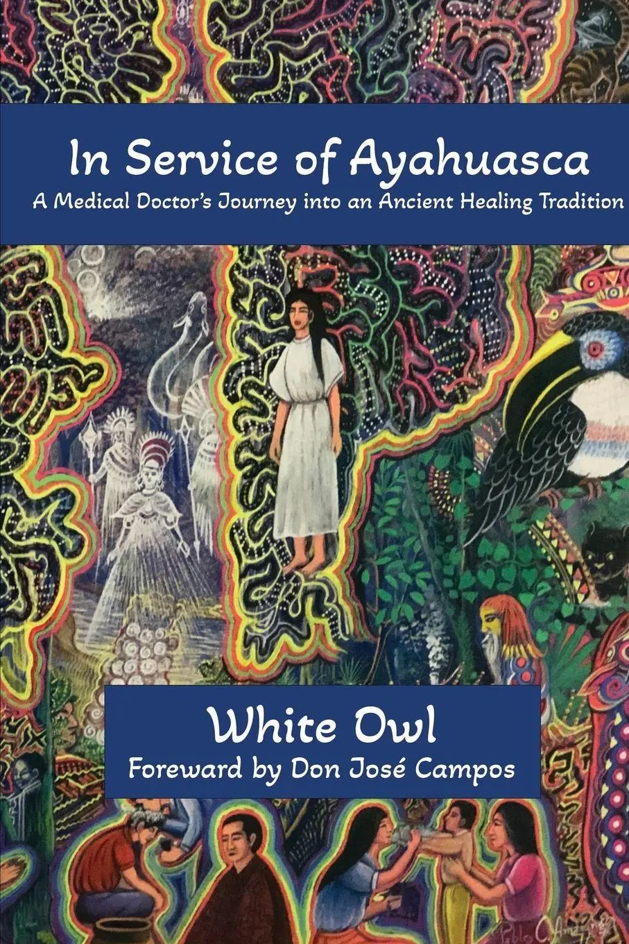 Cover: 9781633023314 | In Service of Ayahuasca - A Medical Doctor's Journey into an...