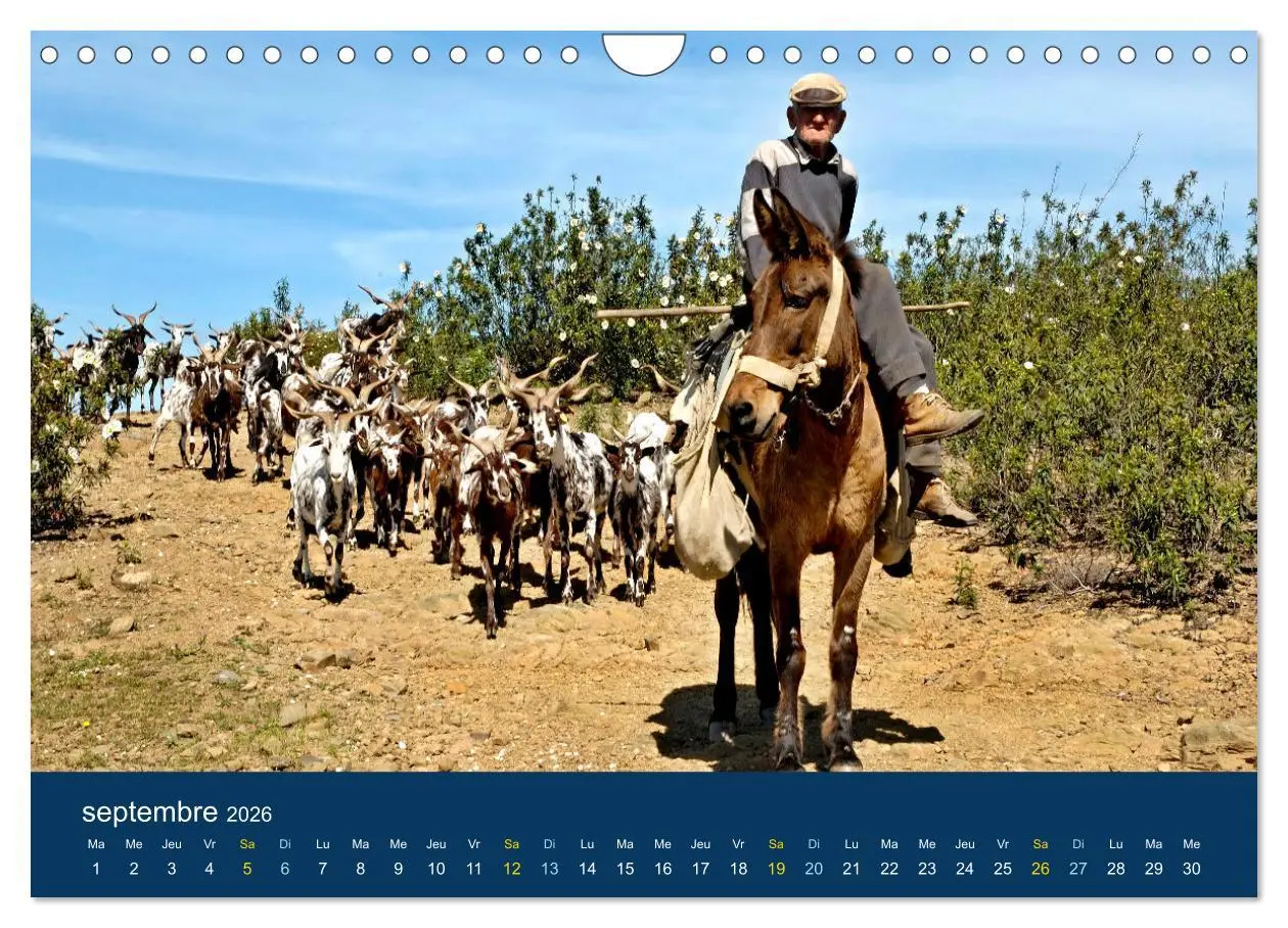 Bild: 9783516553314 | Un voyage à travers le Portugal (Calendrier mural 2026 DIN A4...