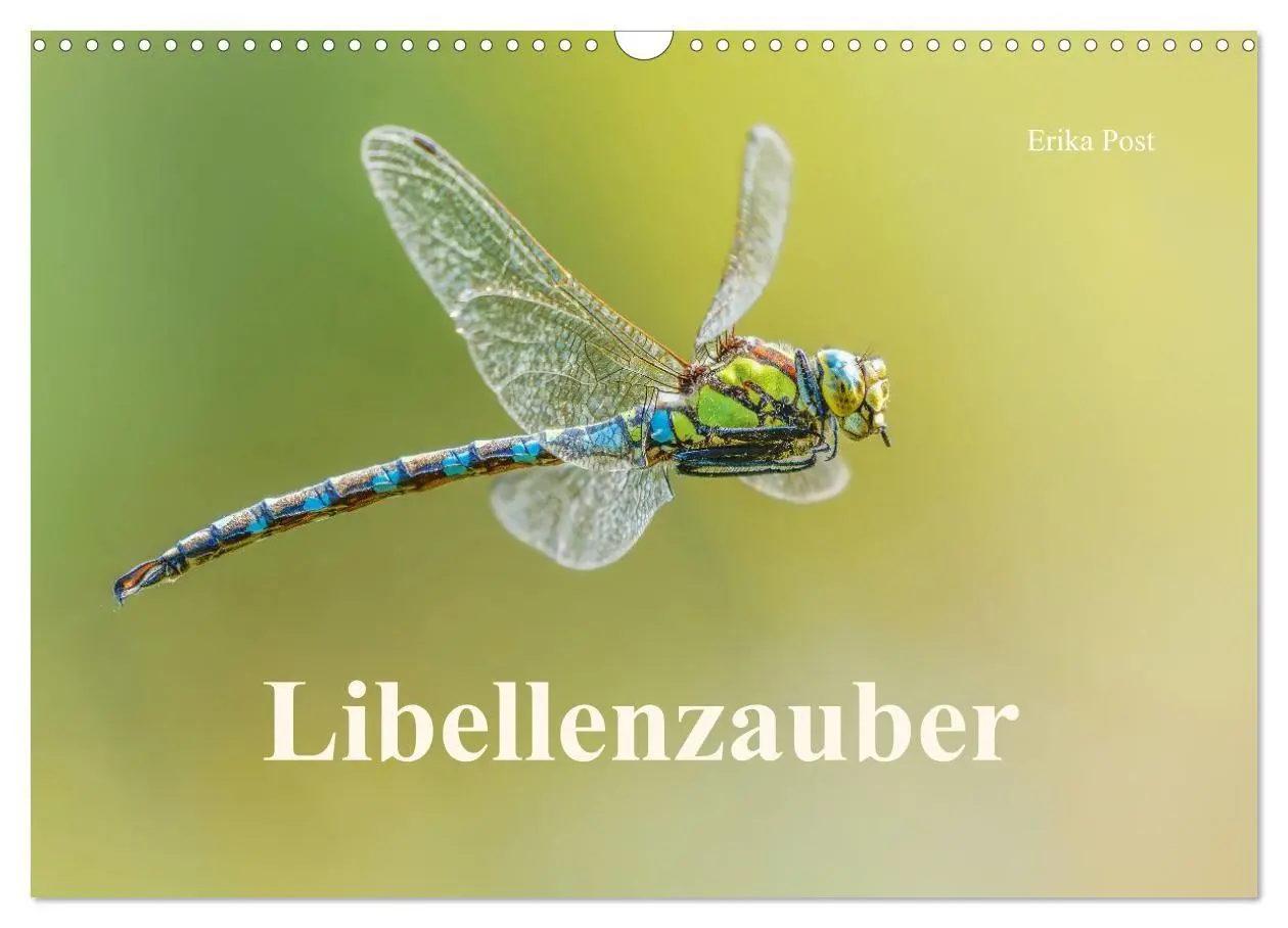Cover: 9783516793314 | Libellenzauber (Wandkalender 2027 DIN A3 quer), CALVENDO...