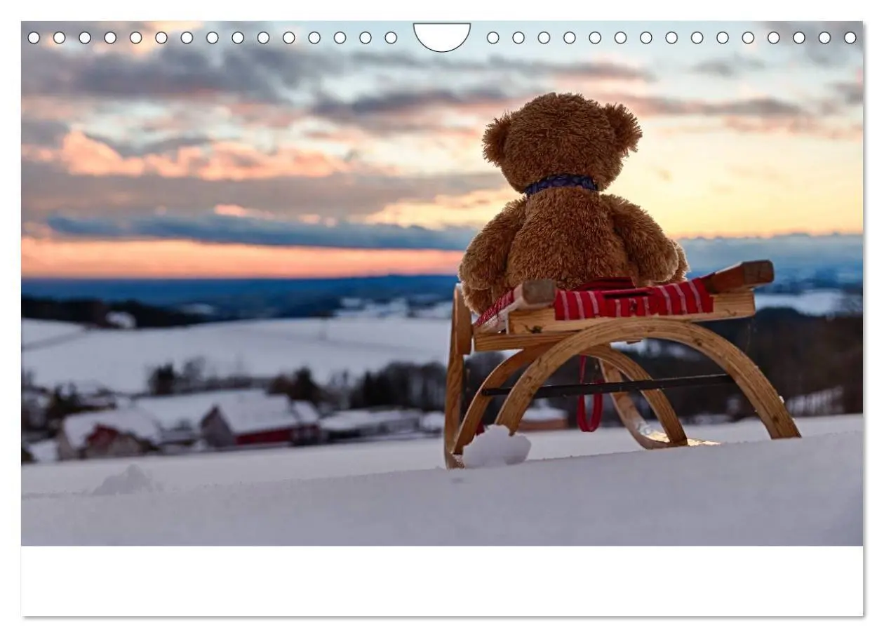 Bild: 9783435503414 | Travelling Teddy 2025 (Wandkalender 2025 DIN A4 quer), CALVENDO...