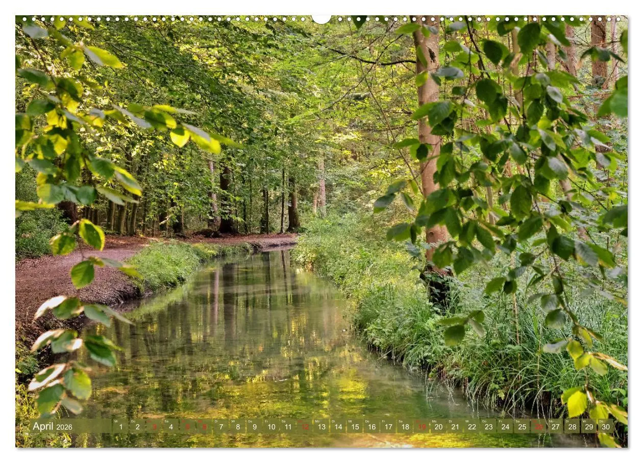 Bild: 9783457763414 | Augsburg - Stadt des Wassers zwischen Lech und Wertach...