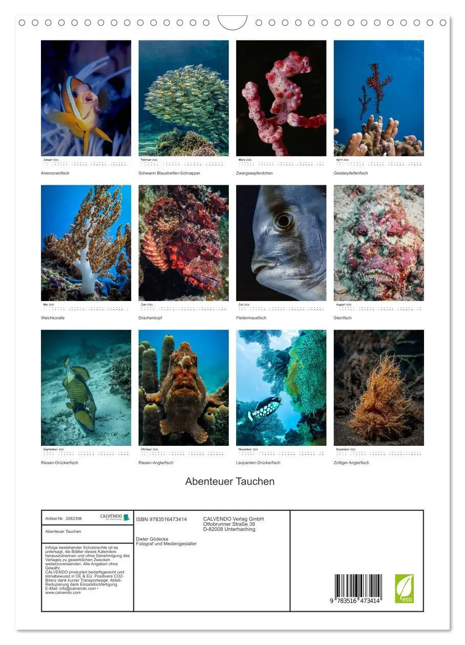 Bild: 9783516473414 | Abenteuer Tauchen (Wandkalender 2026 DIN A3 hoch), CALVENDO...