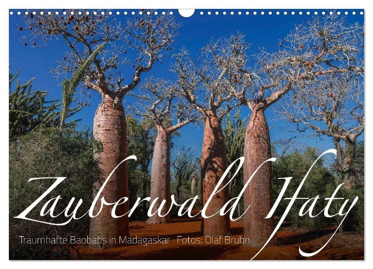 Cover: 9783569703414 | Zauberwald Ifaty · Traumhafte Baobabs in Madagaskar (Wandkalender...