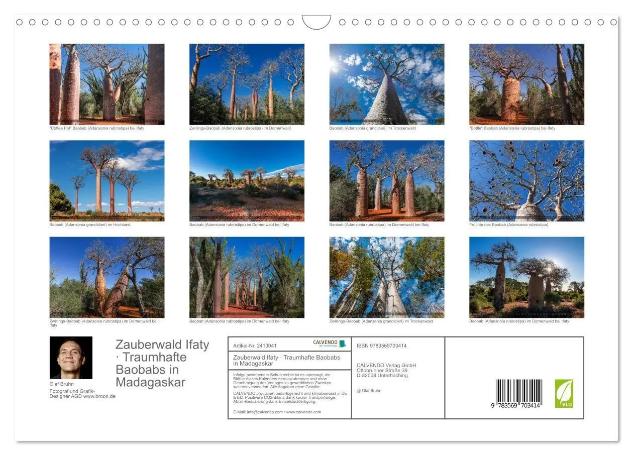 Bild: 9783569703414 | Zauberwald Ifaty · Traumhafte Baobabs in Madagaskar (Wandkalender...