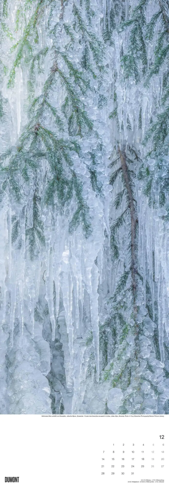 Bild: 4069095003514 | Bäume 2026 - Foto-Kalender - Wand-Kalender - King-Size - 34x98 | Trees
