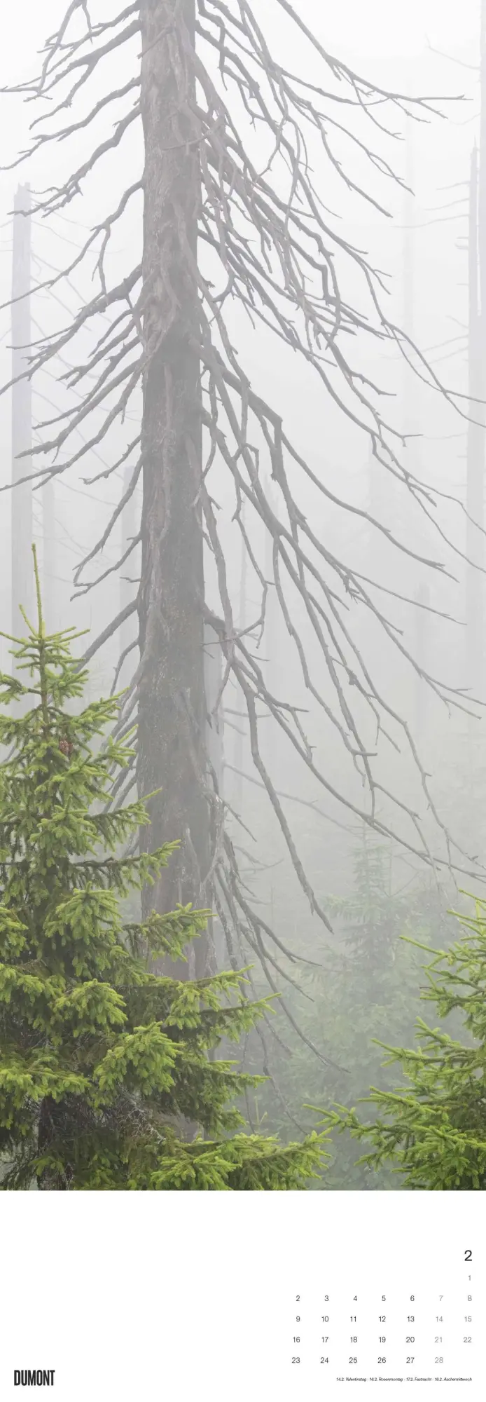 Bild: 4069095003514 | Bäume 2026 - Foto-Kalender - Wand-Kalender - King-Size - 34x98 | Trees