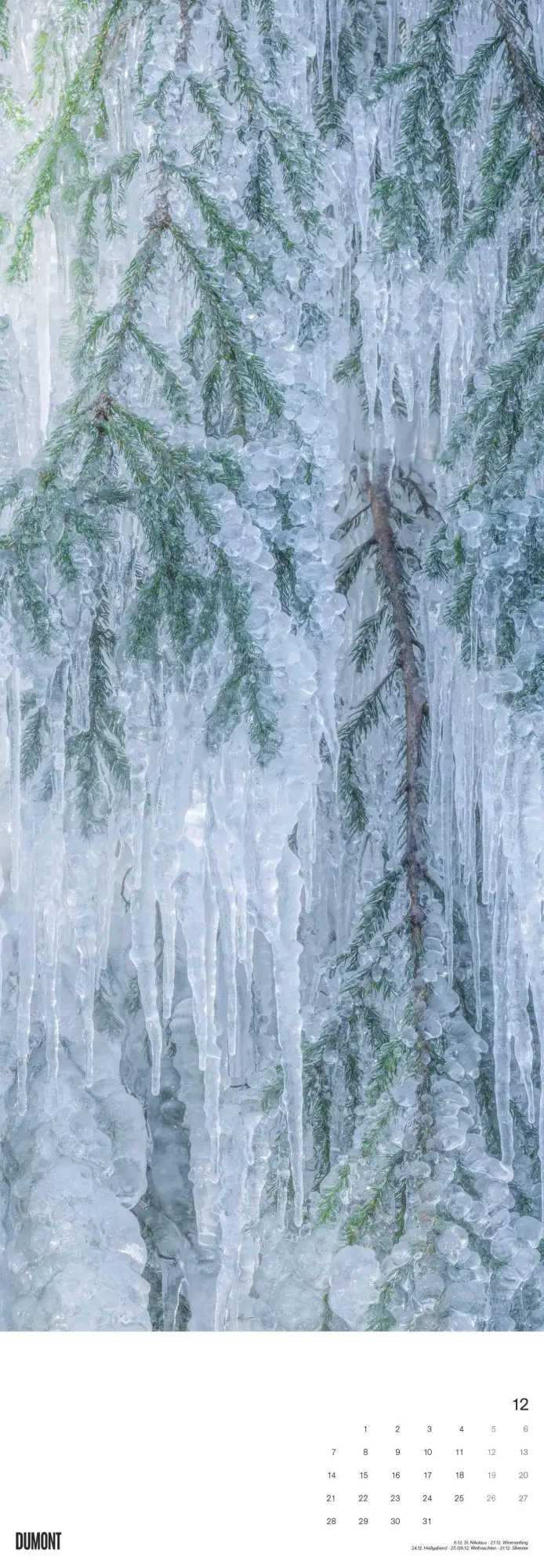 Bild: 4069095003514 | Bäume 2026 - Foto-Kalender - Wand-Kalender - King-Size - 34x98 | Trees