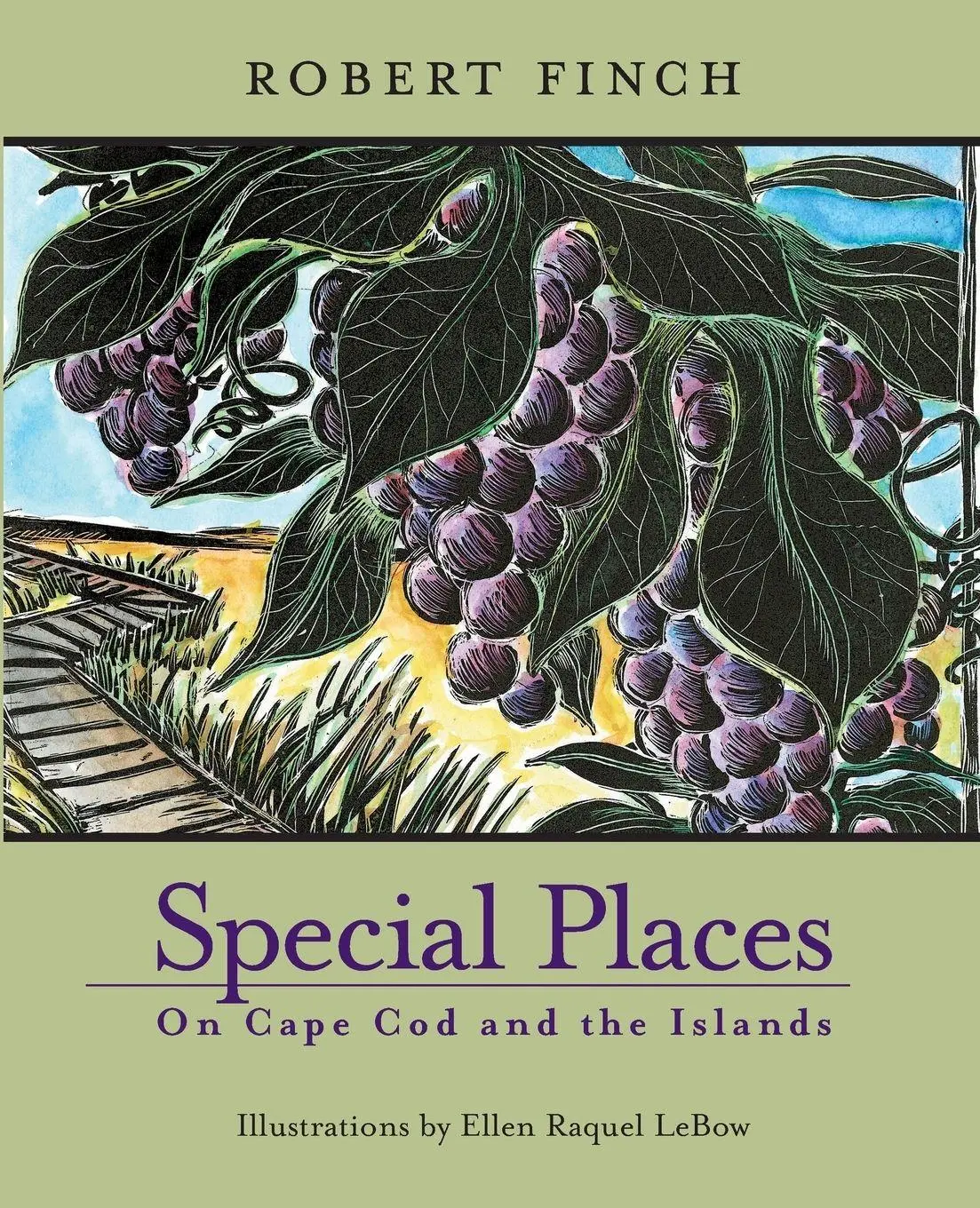 Cover: 9781889833514 | Special Places on Cape Cod and the Islands | Robert Finch | Buch