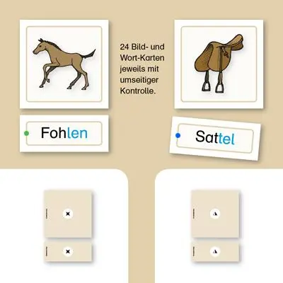 Bild: 9783939293514 | Meine Lesedose 6 - Pferde-Wörter | 24 Bild-Wort-Karten in Silben | Box